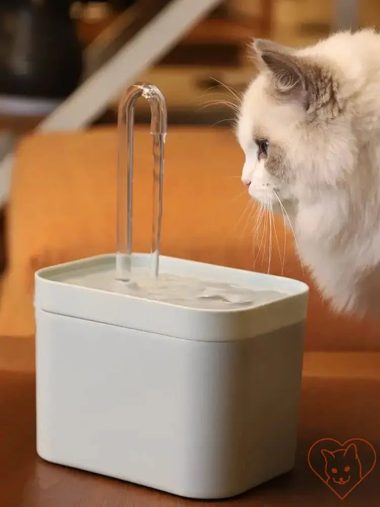 Cat drinking from an Ultra-Quiet 1.5L water fountain with a sleek design and silent pump.