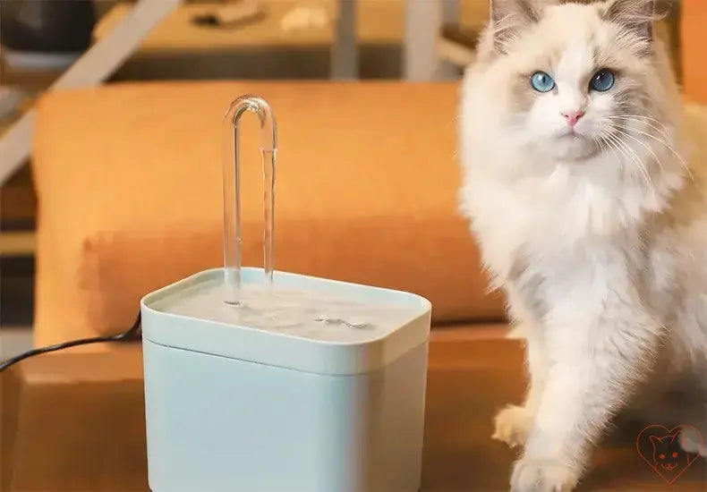 Ultra-Quiet 1.5L Cat Water Fountain next to a fluffy cat, ensuring fresh hydration for pets.