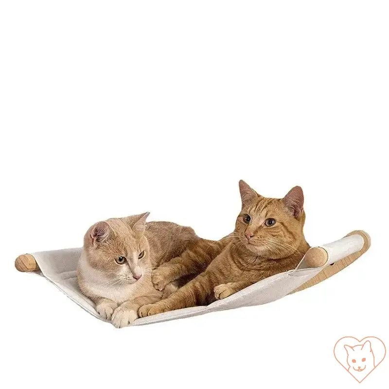 Two cats lounging on a wall-mounted wooden cat bed with a hammock design, perfect for climbing and relaxing.