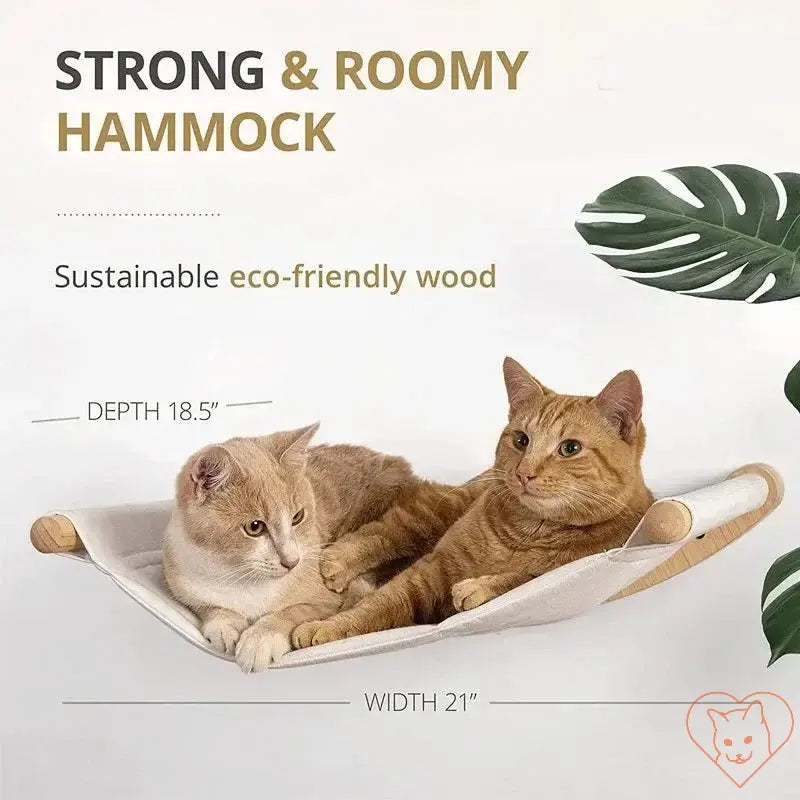 Two ginger cats lounging on a strong and roomy hammock made from sustainable eco-friendly wood.