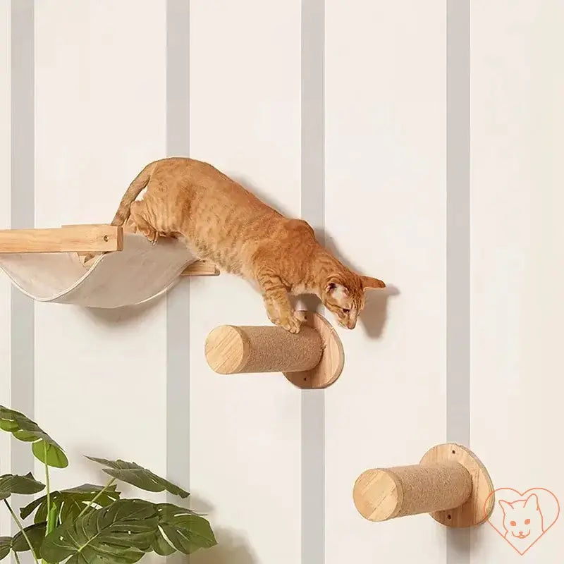 Cat climbing on a wall-mounted wooden cat bed with sisal scratching posts in a stylish interior.