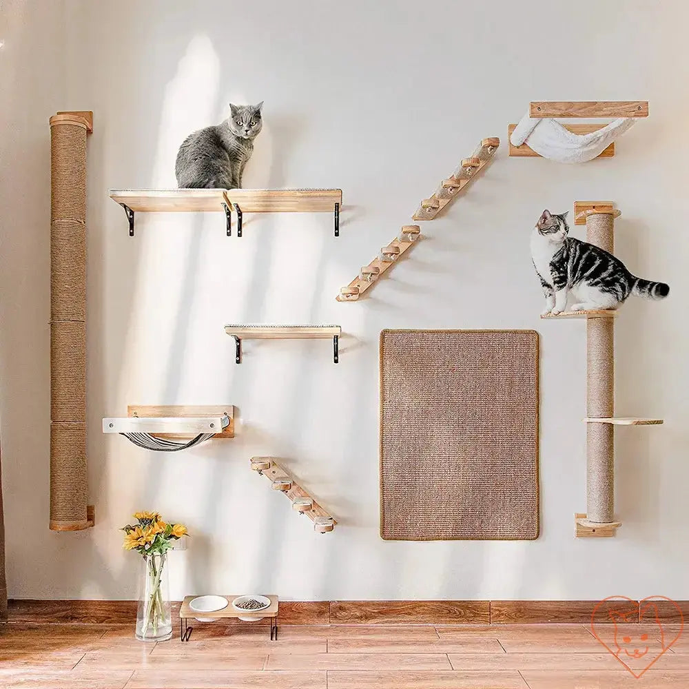 Wall-mounted cat climbing shelf with sisal scratching post and two cats exploring their vertical playground.