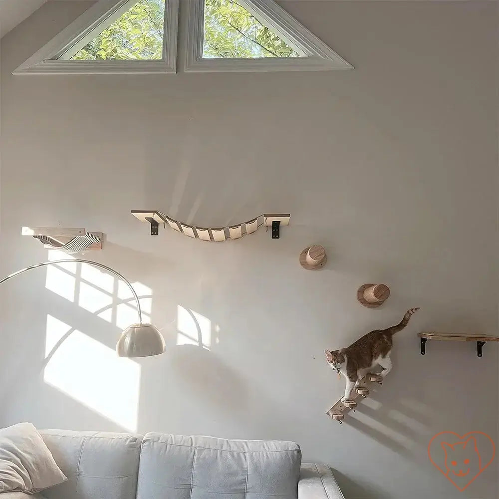 Cat climbing on a wall-mounted shelf system with a sunny living room backdrop.