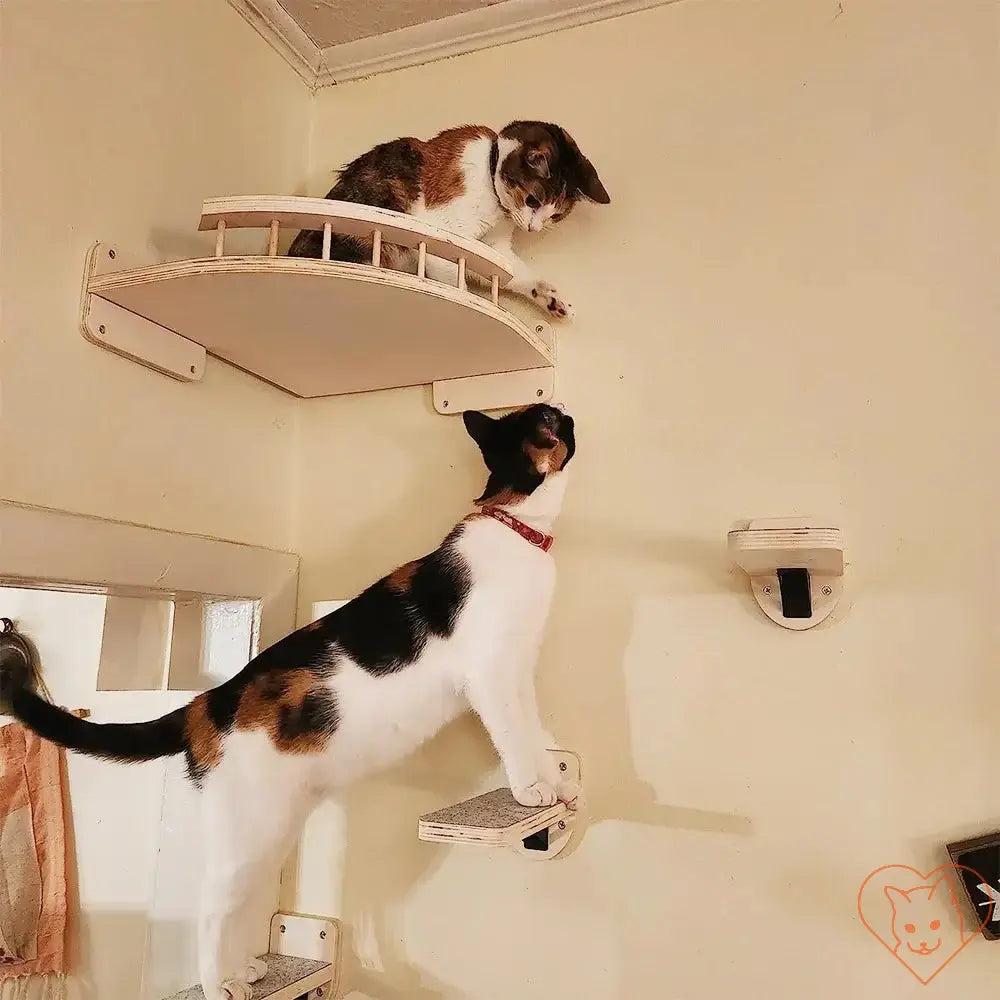 Two cats using a wall-mounted climbing shelf, engaging in play on a four-step stairway with sisal scratching post.