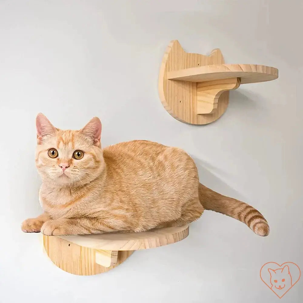 Cat lounging on a wall-mounted wooden shelf, showcasing the cat climbing furniture design.