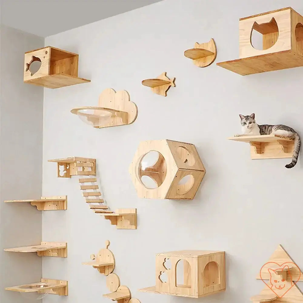 Wall-mounted cat climbing shelves in a playful design with a cat resting, showcasing vertical space for feline activity.