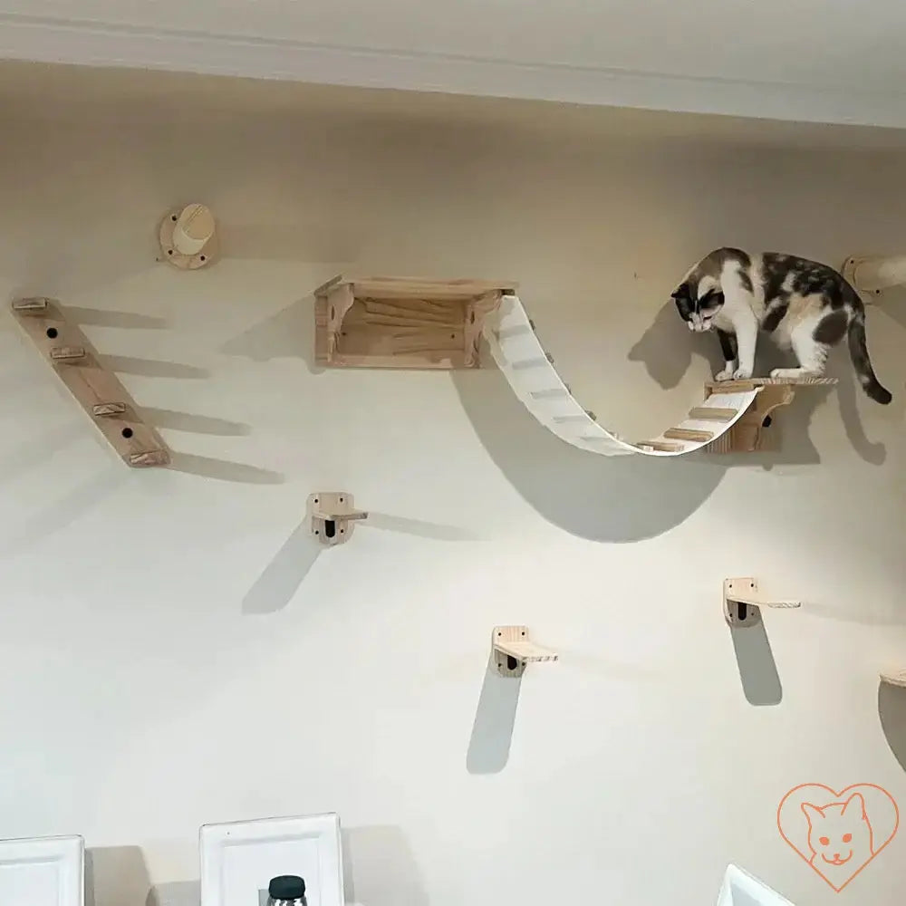 Wall-mounted cat climbing shelves with a cat on a bridge and a cat house for playful feline entertainment.