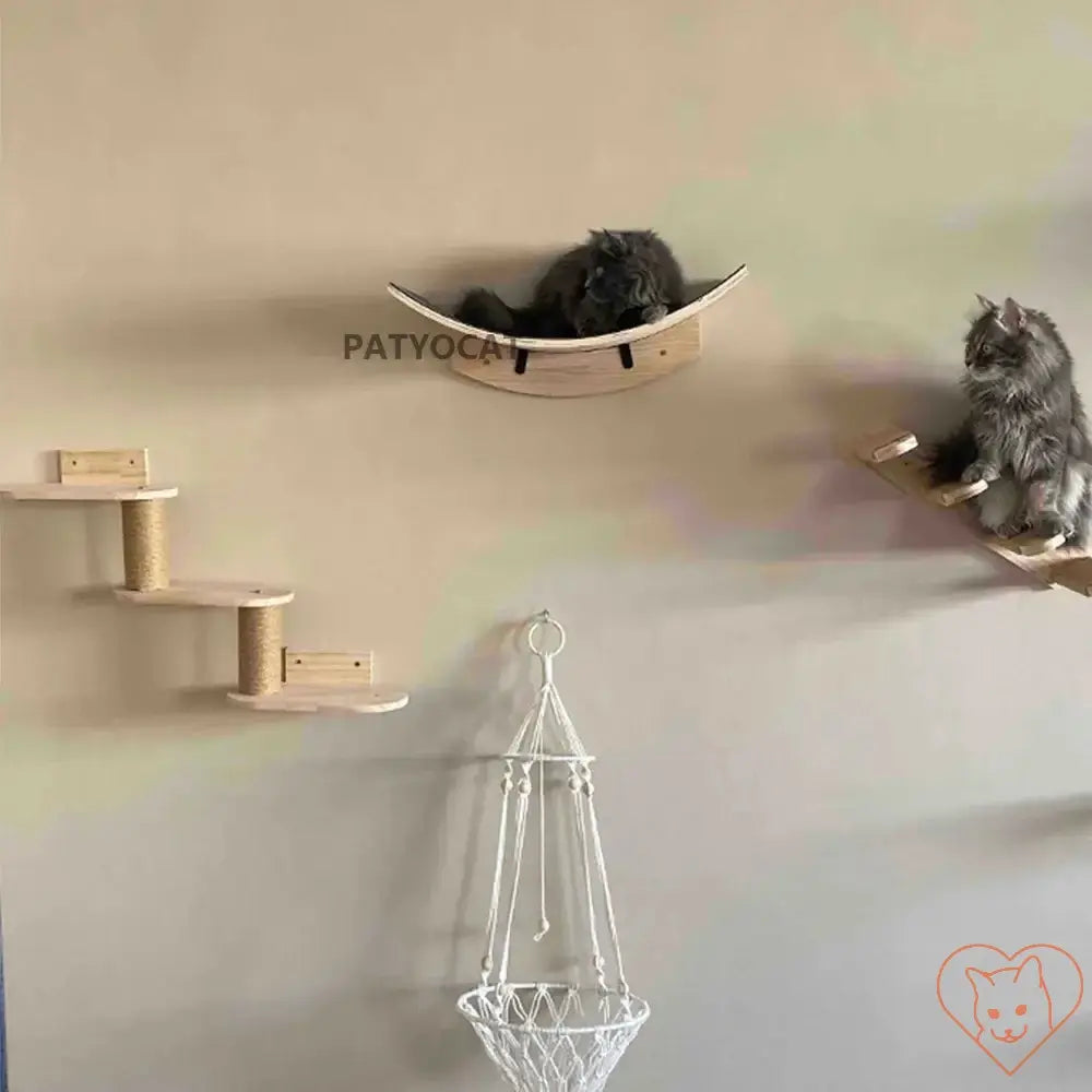 Two cats resting on stylish wall-mounted climbing shelves, featuring a hammock and scratching posts.