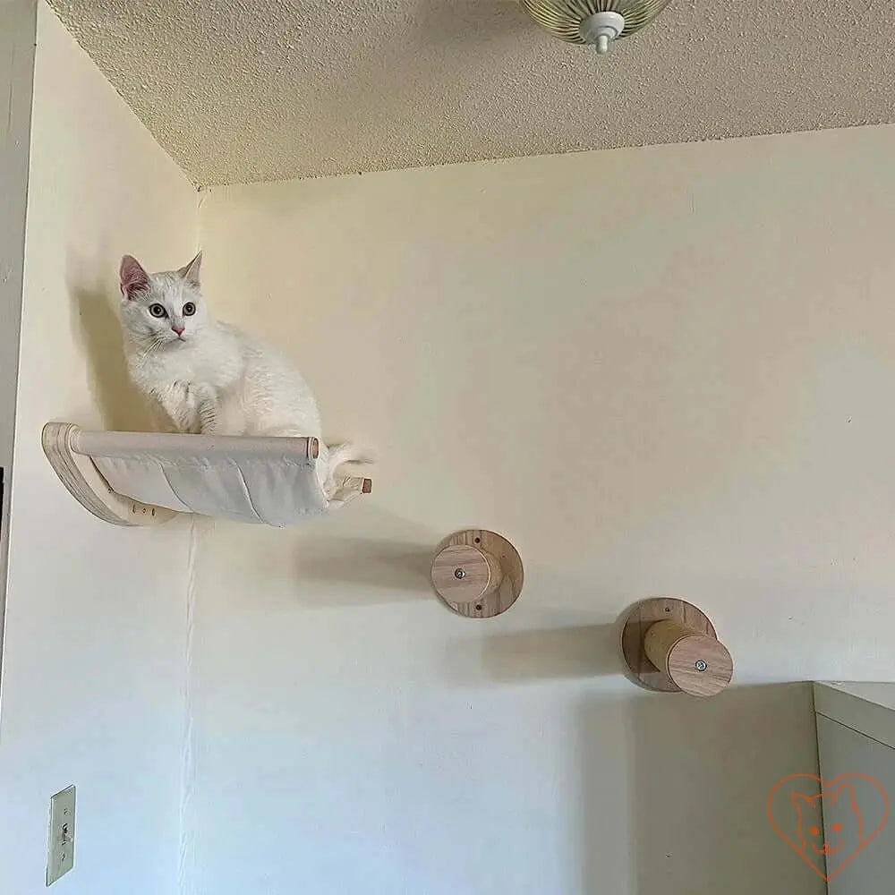 White cat lounging on wall-mounted hammock shelf with wooden supports, perfect for indoor feline entertainment.