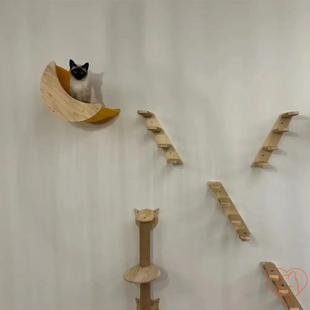 Cat lounging on wall-mounted hammock and climbing shelves, showcasing a playful cat furniture setup.