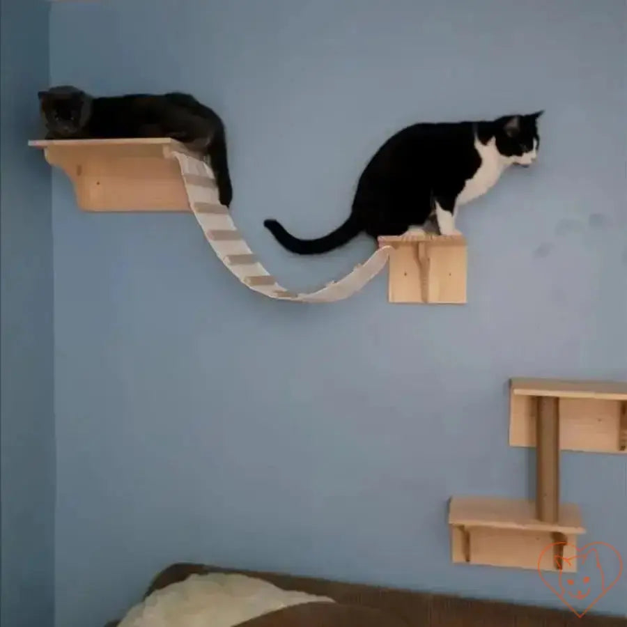 Two cats enjoying a Wall-Mounted Cat Climbing Shelf with a bridge, promoting fun and exercise for pets.