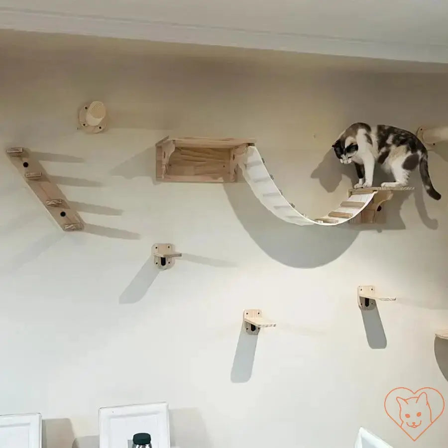 Wall-mounted cat climbing shelves featuring a bridge and hammock with a cat exploring the design.