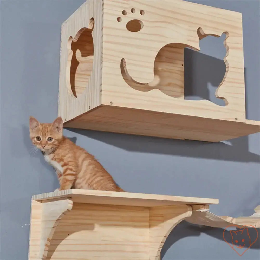 Orange cat on wooden wall-mounted cat shelves with cut-out shapes for climbing and lounging.