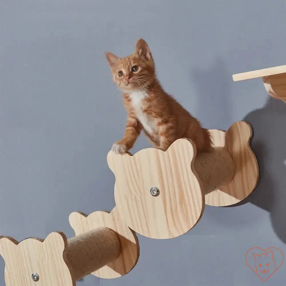 Orange kitten playing on wooden wall-mounted climbing shelves with sisal scratch posts.