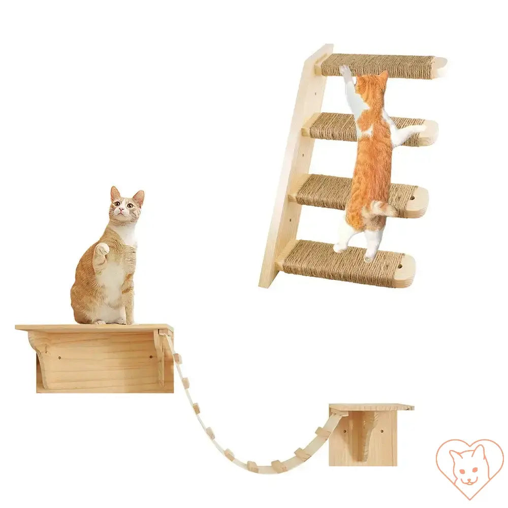 Wall-mounted cat hammock with climbing shelves and playful cats on wooden scratching ladder.