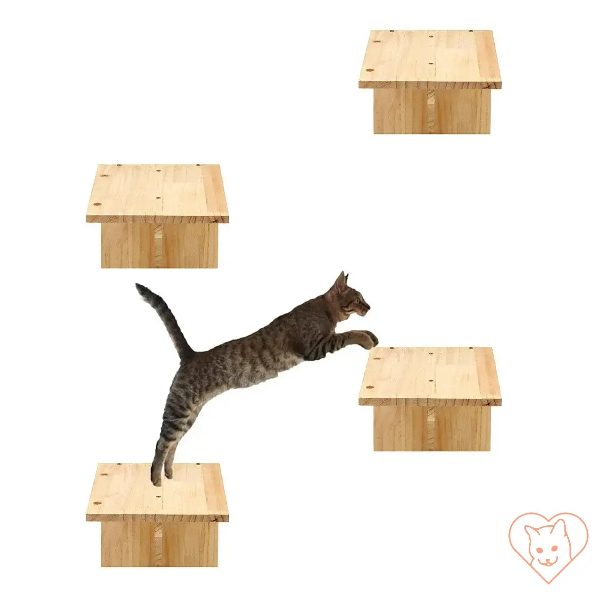 Cat jumping between wooden climbing shelves in a wall-mounted cat setup.