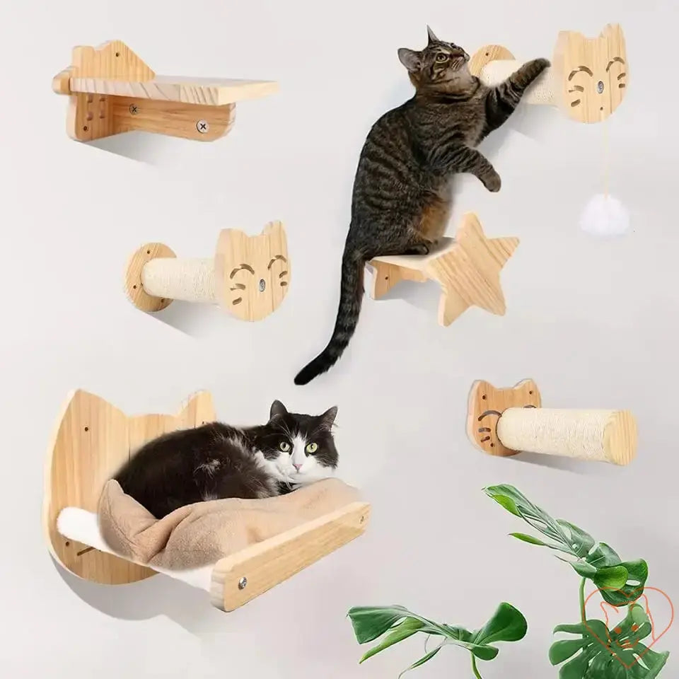 Wall-mounted cat hammock and climbing shelves featuring natural wood, with playful cats enjoying their space.