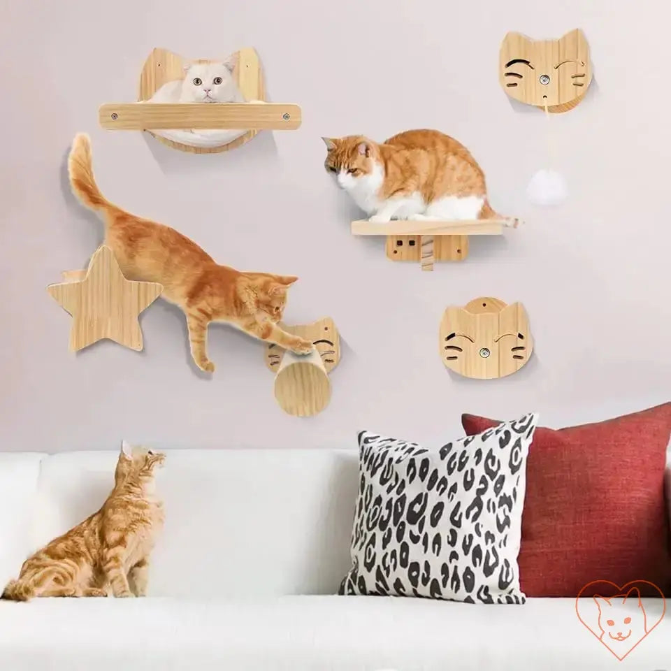 Cats playing on wall-mounted wooden shelves, including a hammock and a climbing star, enhancing feline living space.