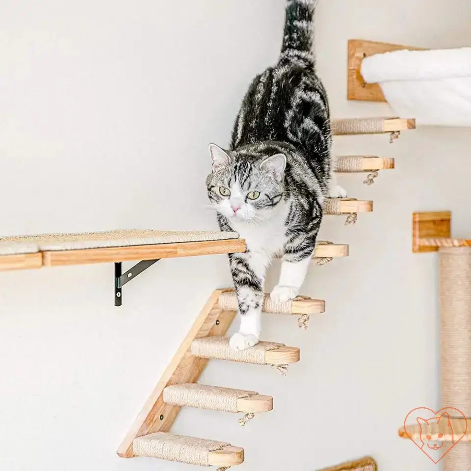 Cat climbing the Wall-Mounted Cat Hammock with wooden climbing shelves and sisal scratch ladder.