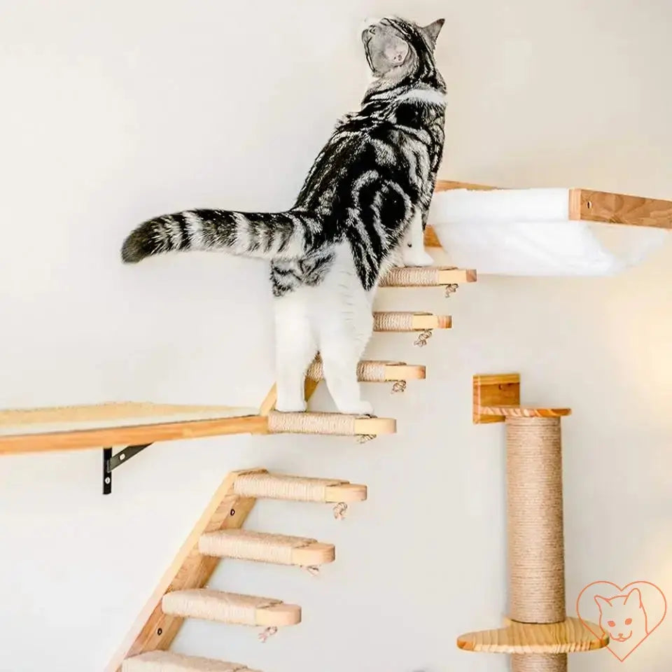 Cat climbing on wooden shelves with sisal scratch ladder in modern home decor.