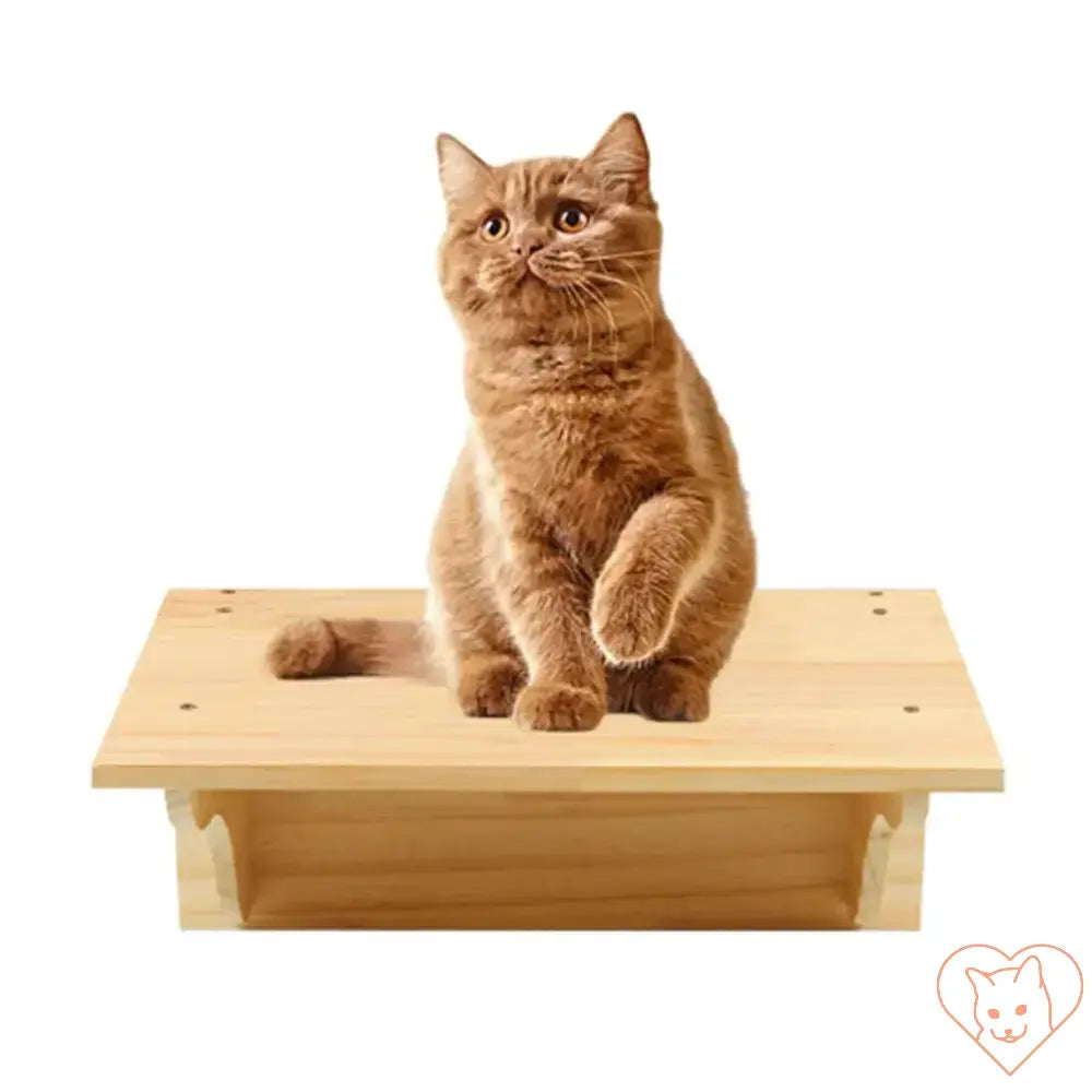 Ginger cat sitting on a wooden shelf of a wall-mounted cat tree, showcasing comfort and playfulness.