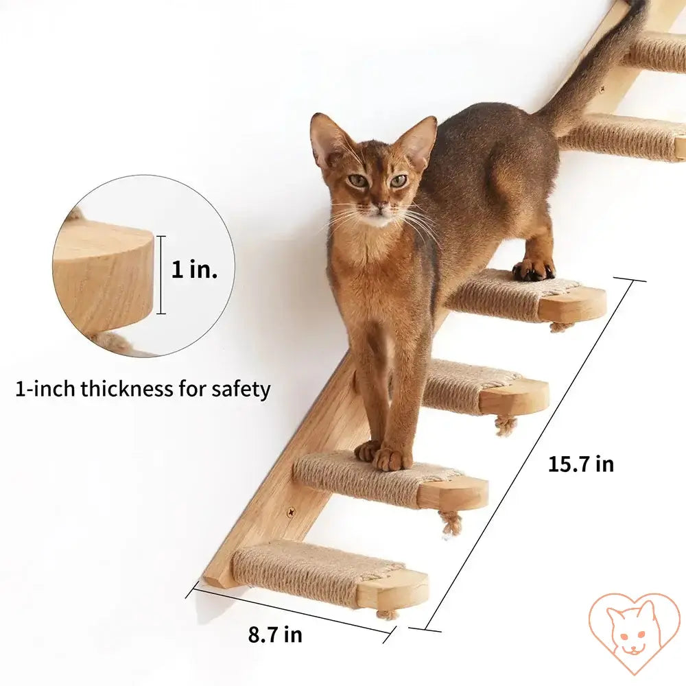 Cat climbing on a wall-mounted shelf with 1-inch thick wooden supports and scratching post, measuring 15.7 x 8.7 inches.