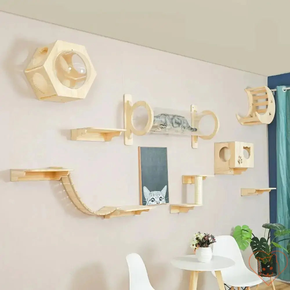 Stylish wall-mounted cat tree featuring hammock, climbing shelves, and unique designs for feline play.