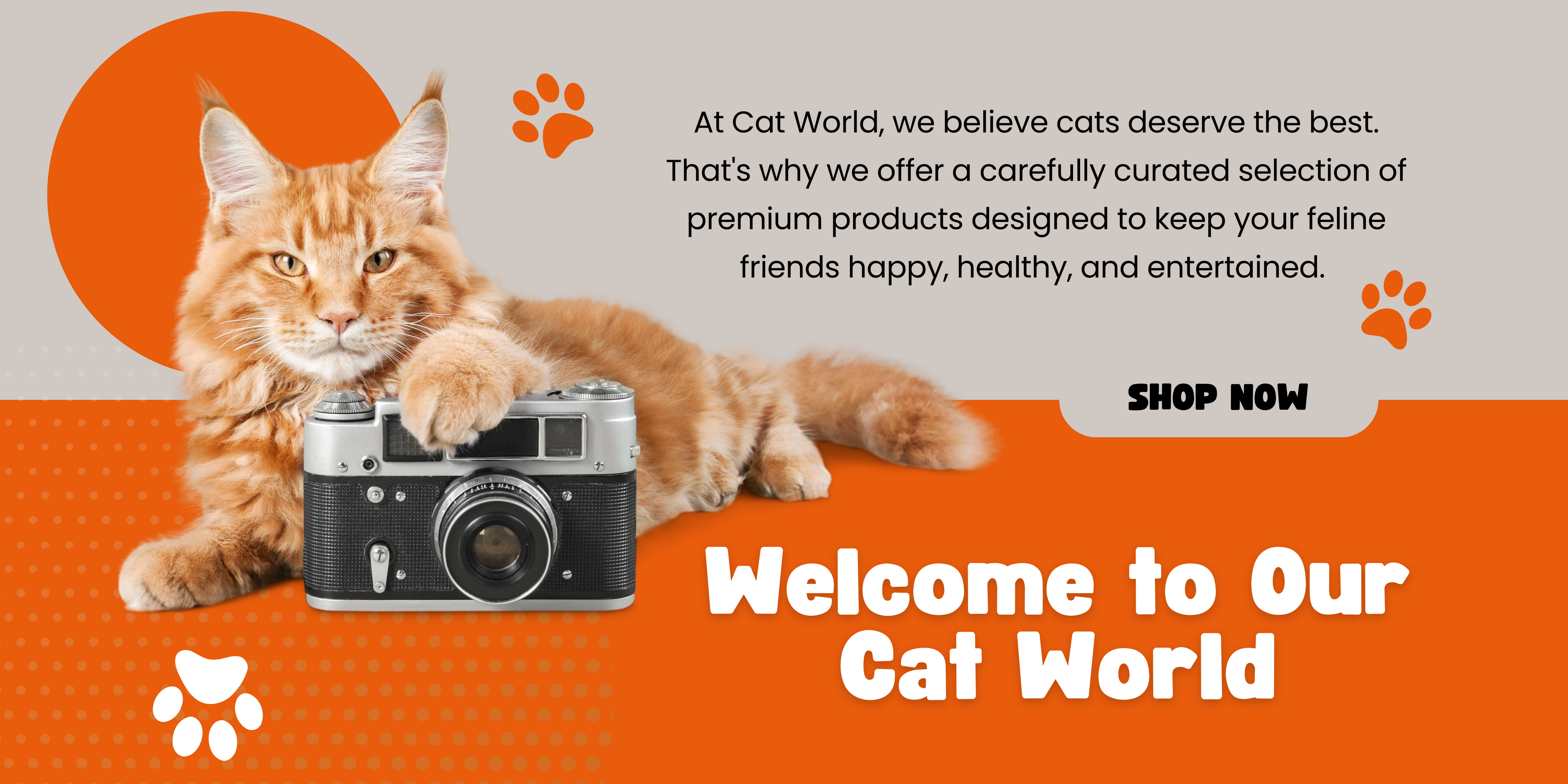 Fluffy ginger cat with camera on promotional banner for Cat World, inviting customers to explore curated cat products.