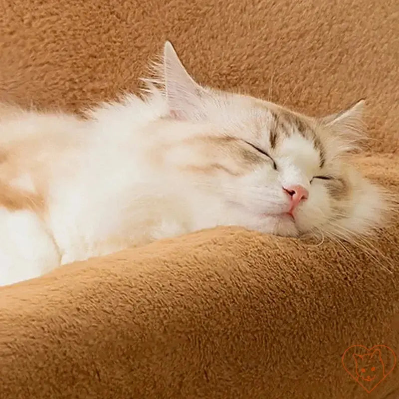 Sleeping cat on a cozy, plush sofa, showcasing the warmth and comfort of the Winter Plush Cat Bed.