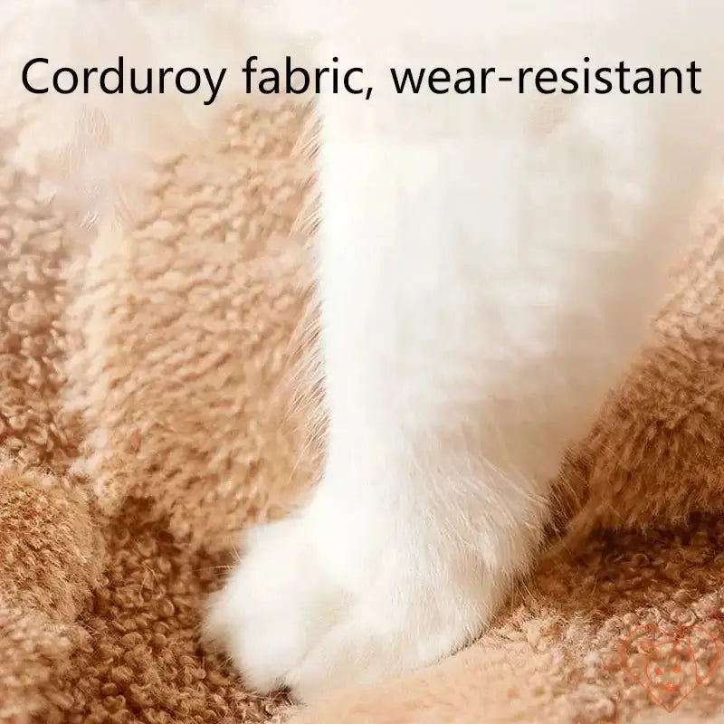 Close-up of a cat's paw on soft, wear-resistant corduroy fabric of a cozy pet bed.