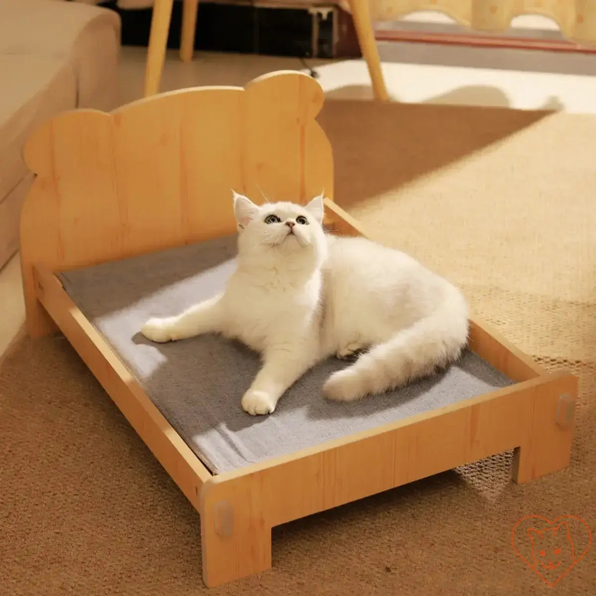 Cozy wooden cat bed with teddy bear pattern, featuring a soft grey cushion and a relaxed cat lounging in a sunlight-filled room.